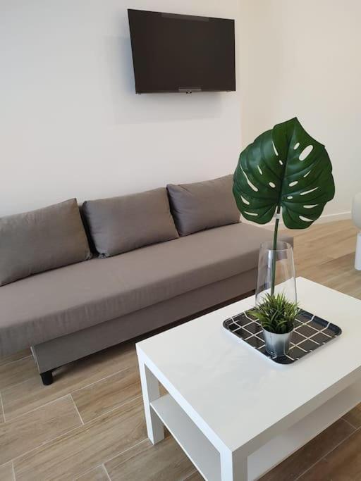 Nuevo Loft En Playa Y Cerca Del Centro, Ac Y Wifi Lägenhet Valencia Exteriör bild